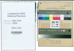 Entnazifizierung Carl Grins , geb. 13.07.1896 (Anstreichermeister)
