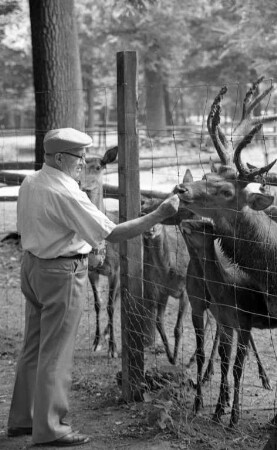 Besuch im Tierpark Oberwald