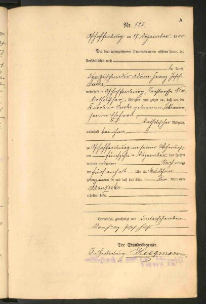 Standesamtsbuch der Stadt Aschaffenburg: Geburten 365/1900 - 184/1901