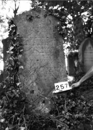 Grabstein 257 (Index: 100085149) Maße HxBxT: 160x66x27 cm Beschreibung: Stele, prof. Sockel, giebelart. Abschl. m. Verdach. , Schrift eingetieft: Grabstein 257