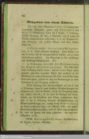 Mißgeburt von einem Schwein