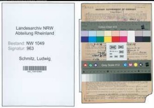 Entnazifizierung Ludwig Schmitz , geb. 06.11.1903 (Schneider)