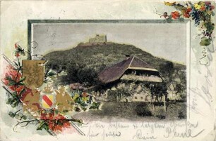 Postkartensammlung Weis mit Ansichten Karlsruhes. Stadtgarten