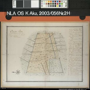 Ocularplan eines Moores mit den daran grenzenden Wiesen und Weiden [in WERLTE], mit Namen der Flurbesitzer Farbige Handzeichnung auf Papier, unsigniert, 46 x 34 cm