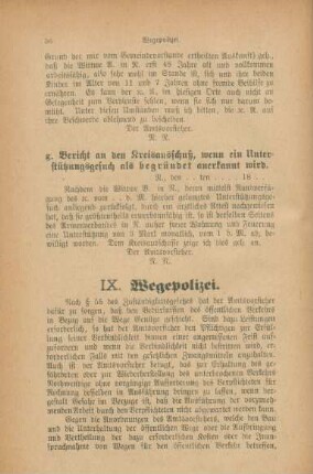 IX. Wegepolizei