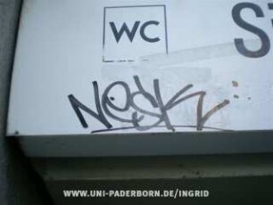 NeSK