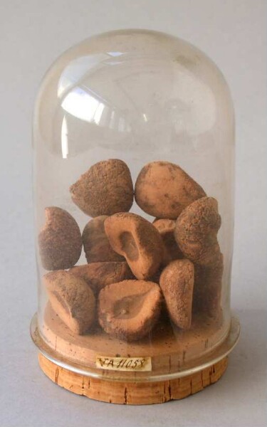 Tubular jar with avocado pits (Palta)