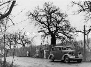 Front im Westen