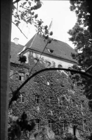Salem: Bewachsene Hauswand im Hof