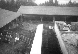 Filser Schluifeld, Offenstall, Laufhof