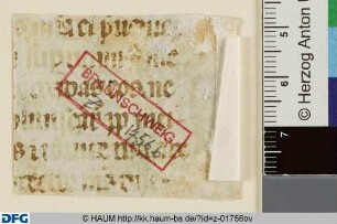 Liturgisches Textfragment