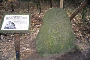 Ohe: Gräberfeld: Schalenstein DB 1