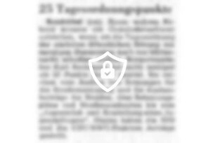 25 Tagesordnungspunkte