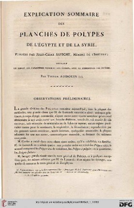 Explication sommaire des planches de polypes de l'Égypte et de la Syrie