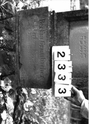 Grabstein 2333 (Index: 100097497) Maße HxBxT: 150x50x19 cm: Grabstein 2333 (Detailaufnahme)