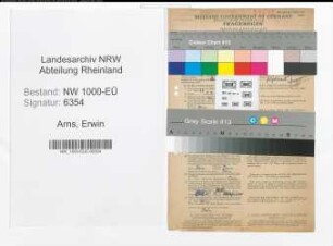 Entnazifizierung Erwin Arns, geb. 06.04.1912 (Anstreicher)