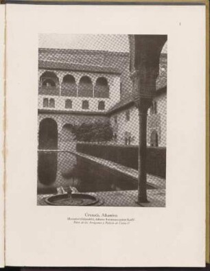 Abbildungen [Taf. 1 - 176]