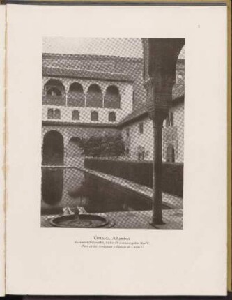 Abbildungen [Taf. 1 - 176]