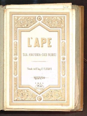L' ape : sua anatomia, suoi nemici ; studi