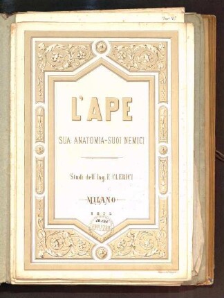 L' ape : sua anatomia, suoi nemici ; studi