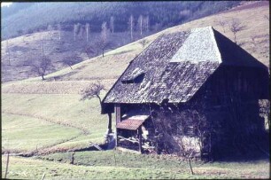 Mühle in Oberprechtal