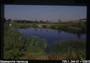 Rückhaltebecken Weiherheide, Sinstorf