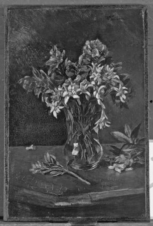 Edelweiß und Alpenrose in einer Vase