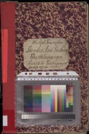 Heiratsregister des Standesamtes Liesborn von 1878 (Urkunden-Nr. 1-19), von 1879 (Urkunden-Nr. 1-19), von 1880 (Urkunden-Nr. 1-25), von 1881 (Urkunden-Nr. 1-23) und von 1882 (Urkunden-Nr. 1-31)