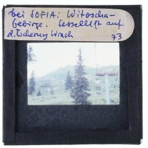 Sofia, Witoschagebirge