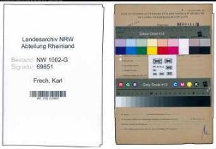 Entnazifizierung Karl Frech, geb. 03.07.1894 (Wirtschaftspruefer)