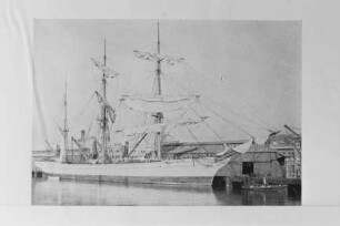 Ben Voirlich (1874), Kühlschiff, Emil Burchardt, Rostock, Bau-Nr. 238