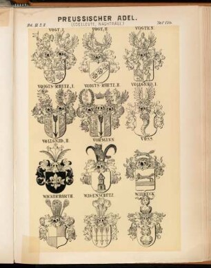 Taf. 154. Vogt. I. - Vogt. II. - Vogten. - Voigts-Rhetz. I. - Voigts-Rhetz. II. - Vollgnad. I. - Vollgnad. II. - Vormann. - Voss. - Wackerbarth. - Wagenschütz. - Walbeck.