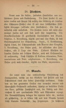 28. Flechten
