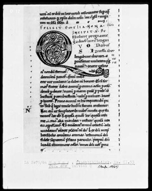 Homilien — Initiale Q, Folio 48verso