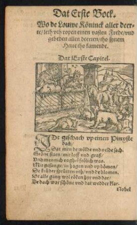 Dat Erste Capitel.