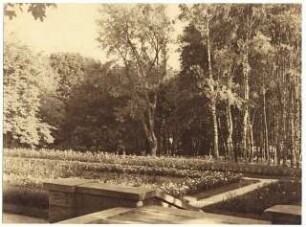 Gartenanlage Richard-Wagner-Festspielhaus, Bayreuth: Rosenbeete, Birken in einem Park