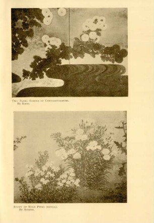 Two panel screen of chrysanthemus. By Korin. Study of wild pinks (Detail). By Sotatsu