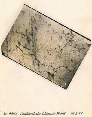 Foto des Geländes an der Südwestecke des Chaume-Waldes (Luftbild)