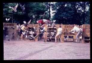 Brieftaubenstart 5.7.69.