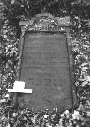 Grabstein 38 (Index: 100105997) Material: Sandstein Zustand: Stein liegend, stark verwittert Maße HxBxT: 133x62x18 cm Beschreibung: Stele von Halbsäulen umfaßt, eingezogener Rundbogenabschluß mit Eckakroteren, rechteckiges Schriftfeld eingetieft Symbolik: Zahnschnittfries: Grabstein 38