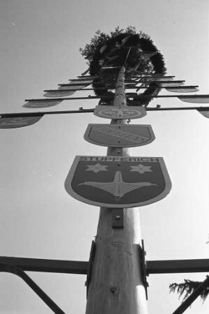 Maibaum in Stupferich
