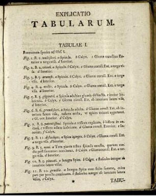 Explicatio Tabularum.