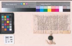 Eidesleistungen mehrerer Personen als Märkischen Frohnen zu Soest und desfallsige Sicherheitsleistungen vom Jahr 1521 Juni 21.