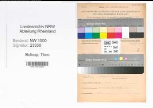 Entnazifizierung Theo Beltrop, geb. 18.01.1916 (Ingenieur)