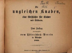 Die ungleichen Knaben, eine Geschichte für Kinder mit Bildern