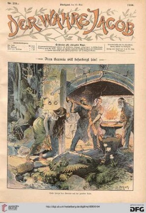 Nr. 256 (12. Mai 1896)