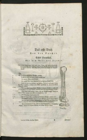 Das erste Buch. Von den Knochen.