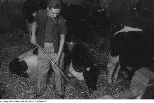 Dresden, Leuben. Fürsorgeheim Leuben, 1949
