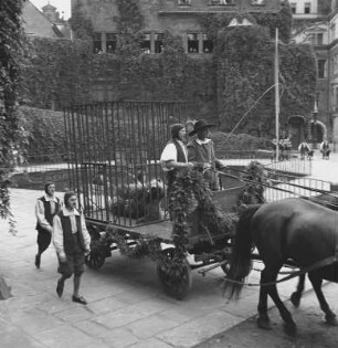 Turnierspiele 1936 : Dresden, Stallhof, Turnierspiele, Festumzug. Jagdaufzug aus der Zeit Kurfürst Johann Georg I., Wagen mit Bär im Käfig