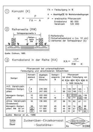 Zuckerrüben-Einzelkornsaat -Saatstärke-
